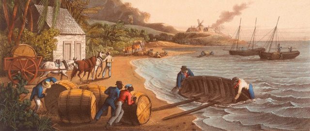 Shipping Sugar